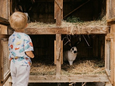 Apartment Apartment Sinabell/2 Schlafraum/Dusche, WC - Outdoor photo 17