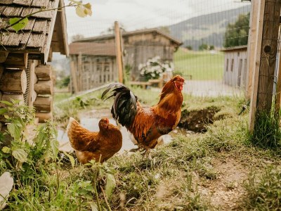 Apartment Apartment Sinabell/2 Schlafraum/Dusche, WC - Outdoor photo 27
