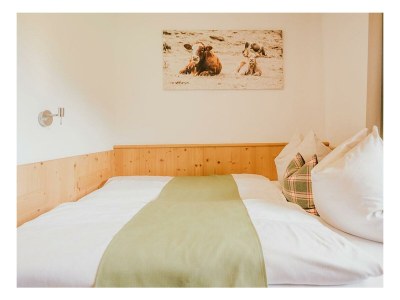 Apartment Apartment Sinabell/2 Schlafraum/Dusche, WC - Features photo 43