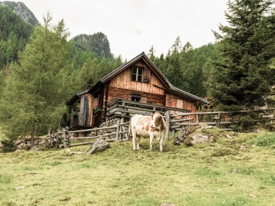 Holiday room Doppelzimmer Dachstein, mit Dusche, WC - Outdoor photo 38