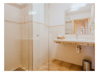 Apartment Apartment Hunerkogel/3 Schlafräume/Dusche, Bad, WC - Features photo 43