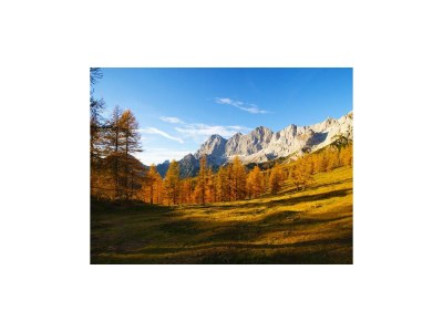 Apartment Appartement 1 - Outdoor photo 37