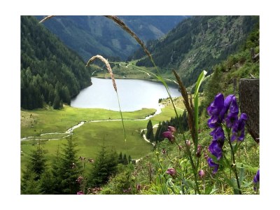 Apartment Apartment Hochwurzen/1 Schlafraum/2-4 PA - Outdoor photo 10