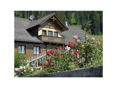 Apartment Apartment Dachstein/1 Schlafraum/2-4 PAX - Outdoor photo 7