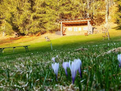 Apartment Appartement Dachstein Schieplechner - Outdoor photo 10
