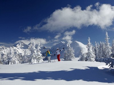 Apartment Appartement Dachstein Schieplechner - Outdoor photo 14