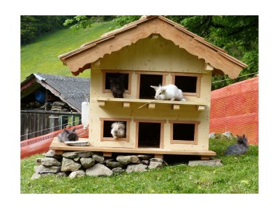 Apartment Appartement Dachstein Schieplechner - Outdoor photo 25