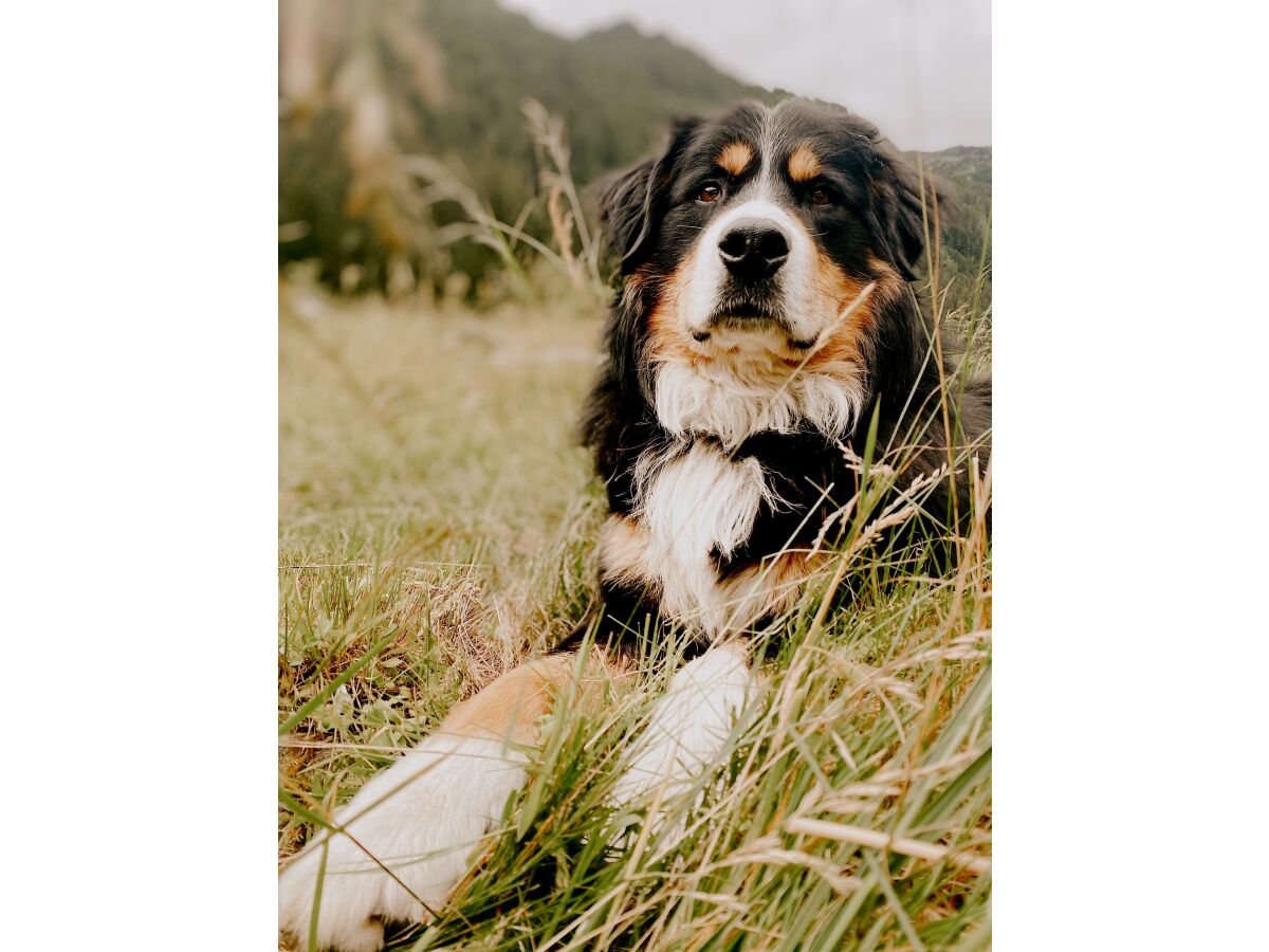 Apartment SCHI.foan für 2 - 4 Pers./1 Schlafraum - Outdoor photo 2