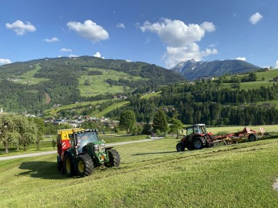 Apartment SCHI.foan für 2 - 4 Pers./1 Schlafraum - Outdoor photo 10