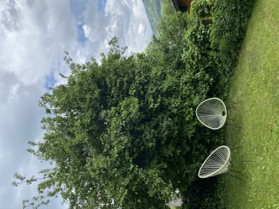 Apartment SCHI.foan für 2 - 4 Pers./1 Schlafraum - Features photo 19