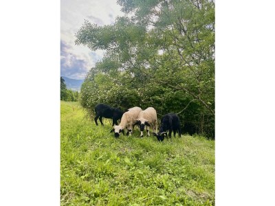 Apartment Apartment Planai - Outdoor photo 17