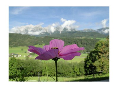 Holiday room Doppelzimmer mit Dusche, WC - Outdoor photo 8