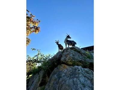 Holiday room Doppelzimmer mit Dusche, WC - Outdoor photo 18