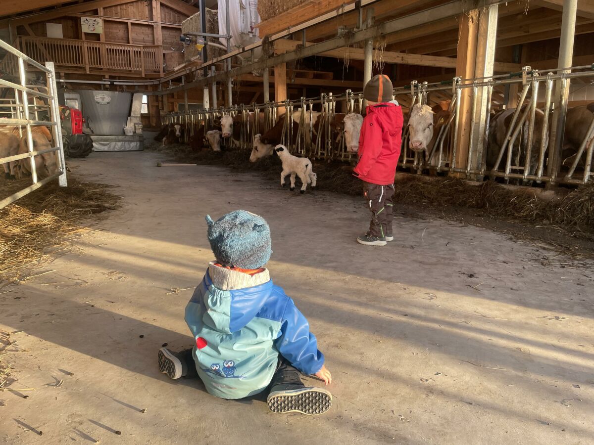 Apartment Apartment/1 Schlafraum/Dusche, WC - Outdoor photo 4