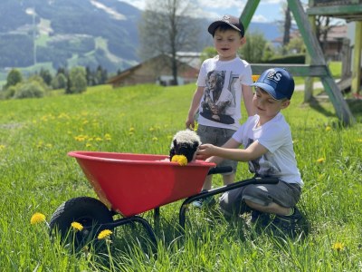 Apartment Apartment/1 Schlafraum/Dusche, WC - Outdoor photo 5