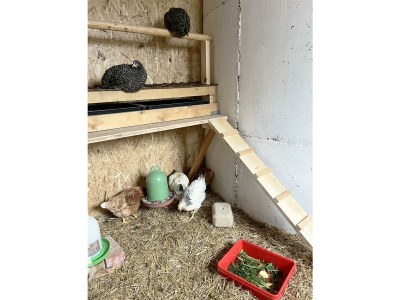 Apartment Apartment "Schnee", 2 Personen - Outdoor photo 42