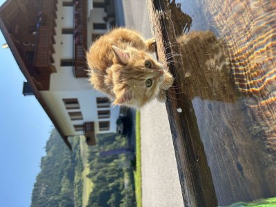 Apartment Apartment "Kristall", 4 Personen - Outdoor photo 44