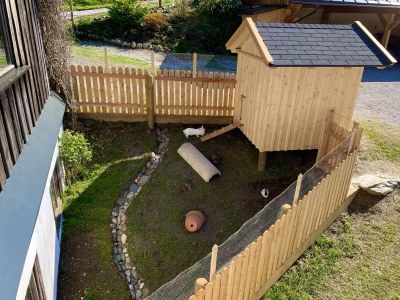 Apartment Apartment "Blume", 2 Personen - Outdoor photo 24