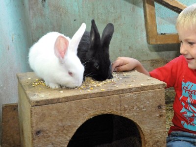 Apartment Planai de Luxe - Outdoor photo 17