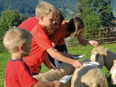 Apartment Appartement Tauern - Outdoor photo 19