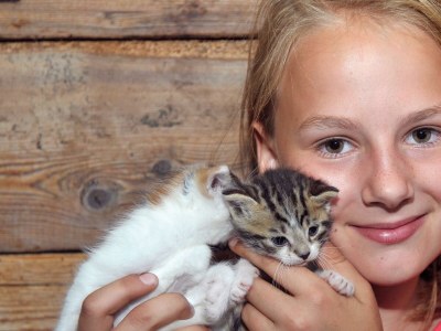 Apartment Appartement Hochwurzen - Outdoor photo 18