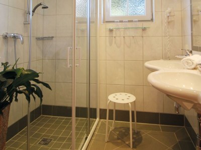 Apartment Appartement Dachstein I - Features photo 39