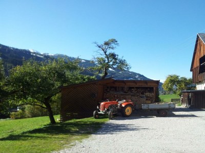 Apartment Ferienhaus - Outdoor photo 7