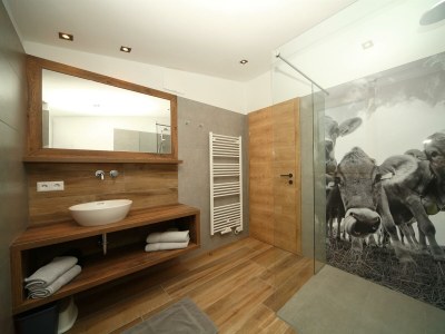 Apartment Appartement Xaver - Features photo 19