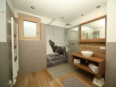 Apartment Appartement Ignaz - Features photo 15