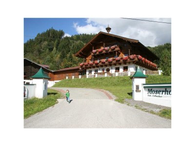 Apartment Apartment f.2-3 Pers./1 Schlafraum/Dusche od. Bad, - Outdoor photo 14