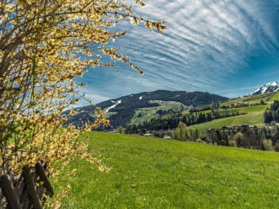 Holiday room Suite mit Dusche, WC - Outdoor photo 8