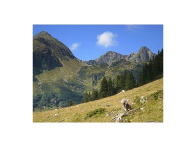 Apartment Appartement "Dachstein" - 2 Schlafräume, Bad, WC - Outdoor photo 11