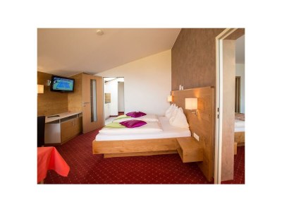 Apartment Appartement Typ C in Schladming-Rohrmoos - Apartment