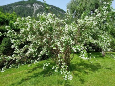Apartment Appartement Reiteralm - Outdoor photo 44