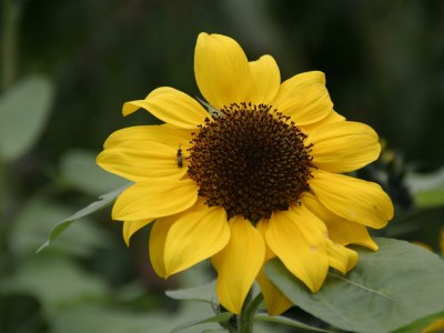 Apartment Appartement Reiteralm - Features photo 63