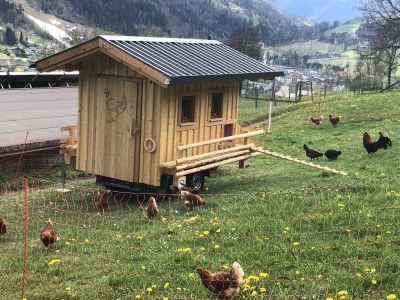 Holiday room Dreibettzimmer mit Dusche, WC - Outdoor photo 6