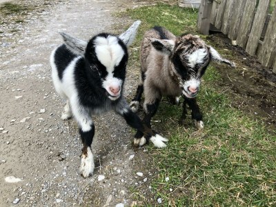 Holiday room Dreibettzimmer mit Dusche, WC - Outdoor photo 7