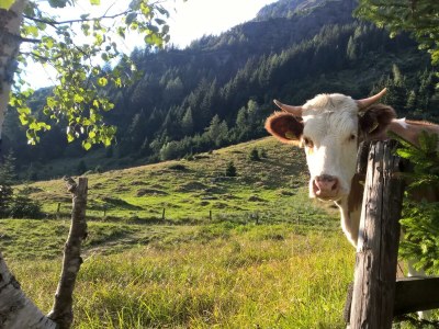 Holiday room Doppelzimmer mit Etagenduschen - Outdoor photo 8