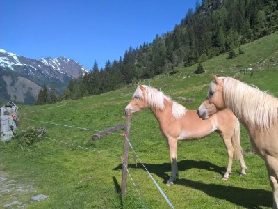 Apartment Apartment/1Schlafraum/1Wohnschlafraum, Dusche, WC - Outdoor photo 7