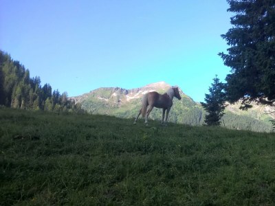 Apartment Apartment/1Schlafraum/1Wohnschlafraum, Dusche, WC - Outdoor photo 11