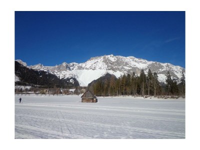 Apartment Apartment Vogelnest/1 Schlafraum/Dusche,WC, Balkon - Outdoor photo 6