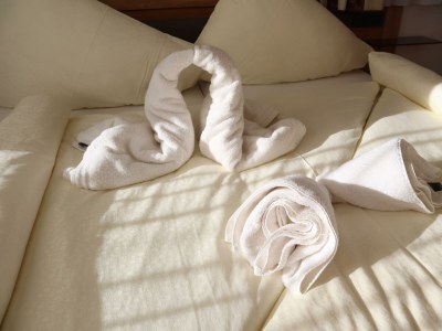 Apartment Appartement Jasmin - Features photo 59