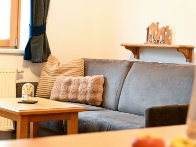 Apartment Apartment  "Theresa" 1 Wohn- & 1 Schlafraum/Du/WC - Features photo 5