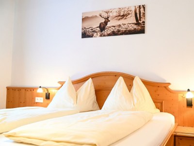 Apartment Apartment  "Theresa" 1 Wohn- & 1 Schlafraum/Du/WC - Features photo 11