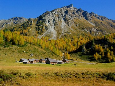 Holiday room Doppelzimmer Steinpilz - Outdoor photo 10