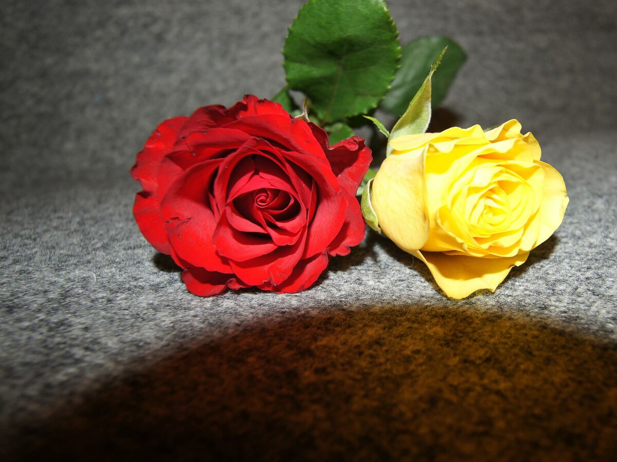 Holiday room Mehrbettzimmer Glückspilz - Outdoor photo 4