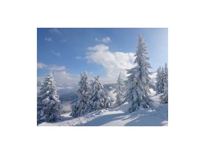 Apartment App. Hochwurzen/2 Schlafräume/Dusche, WC - Outdoor photo 6