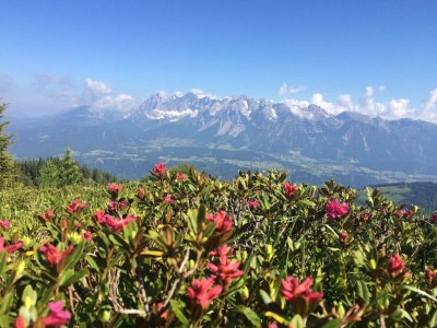 Apartment App. Hochwurzen/2 Schlafräume/Dusche, WC - Outdoor photo 42