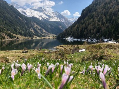 Apartment App. Hochwurzen/2 Schlafräume/Dusche, WC - Outdoor photo 44