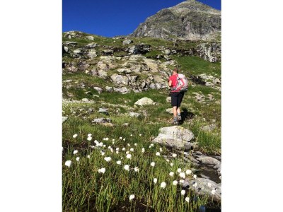 Apartment App. Hochwurzen/2 Schlafräume/Dusche, WC - Outdoor photo 50